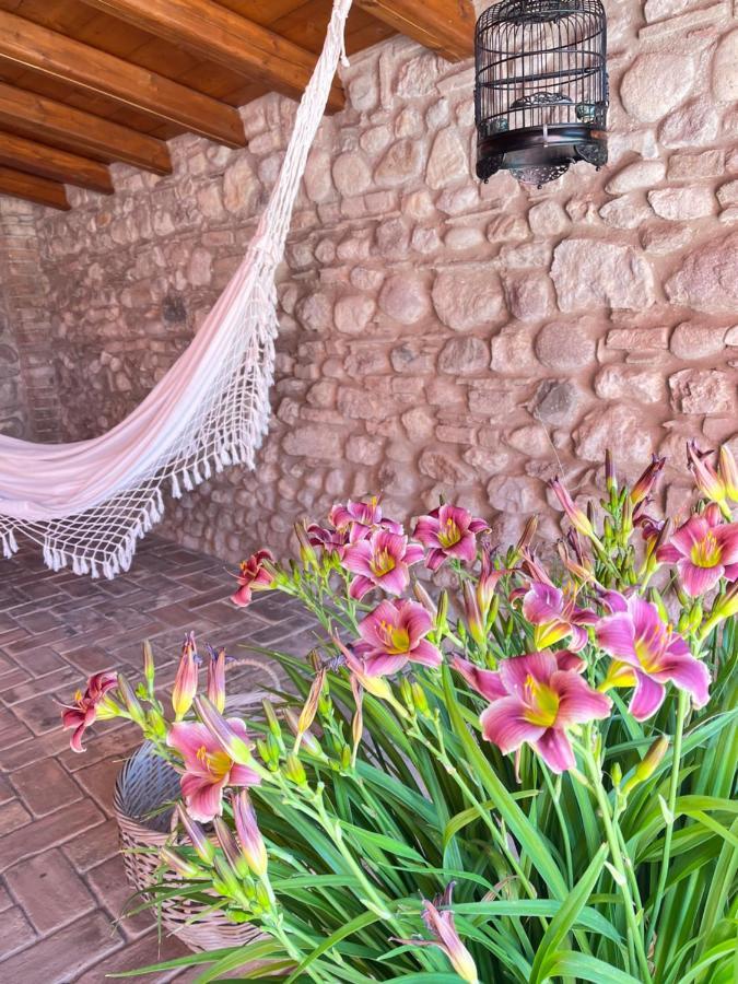 Le Mansarine Charme B&B Castellaro  エクステリア 写真